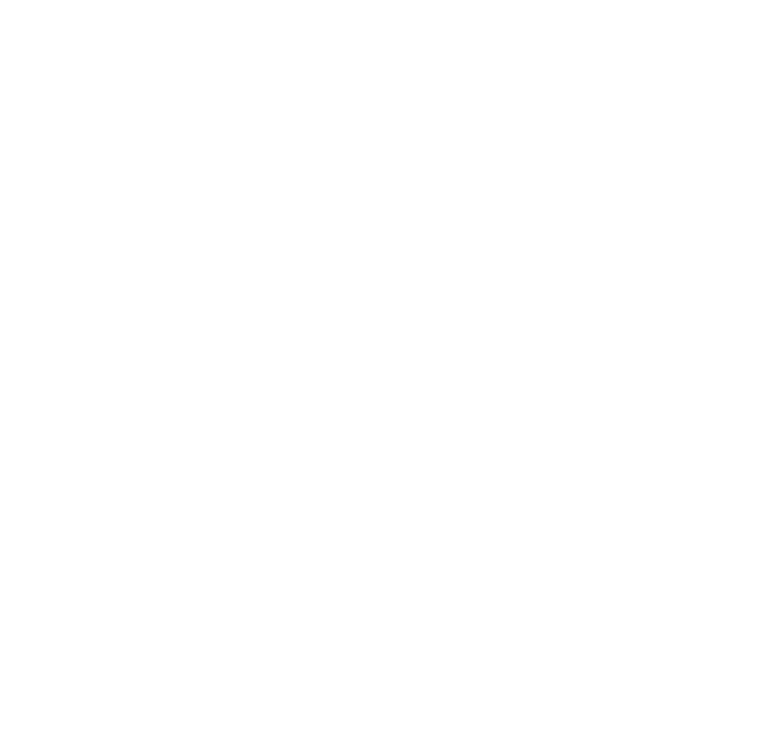 spin o logo